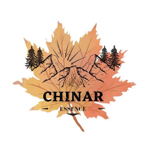 Chinar Essence Tour And Travels